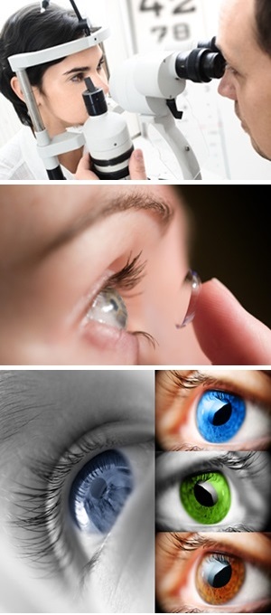 Central Coast Optometrists Central Coast Optometrists