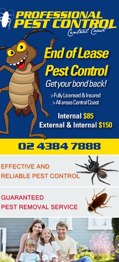 Central Coast Pest Control Central Coast Pest Control